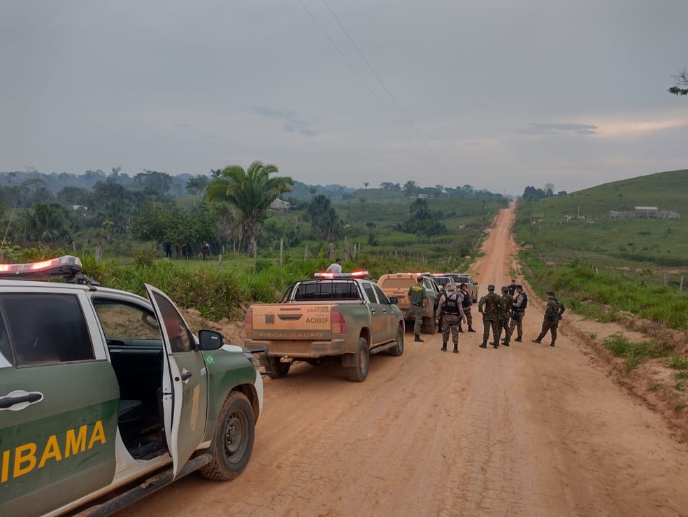 Operação Castanheira II foi contra contra crimes ambientais e transfronteiriços, — Foto: 17ª Brigada/Divulgação