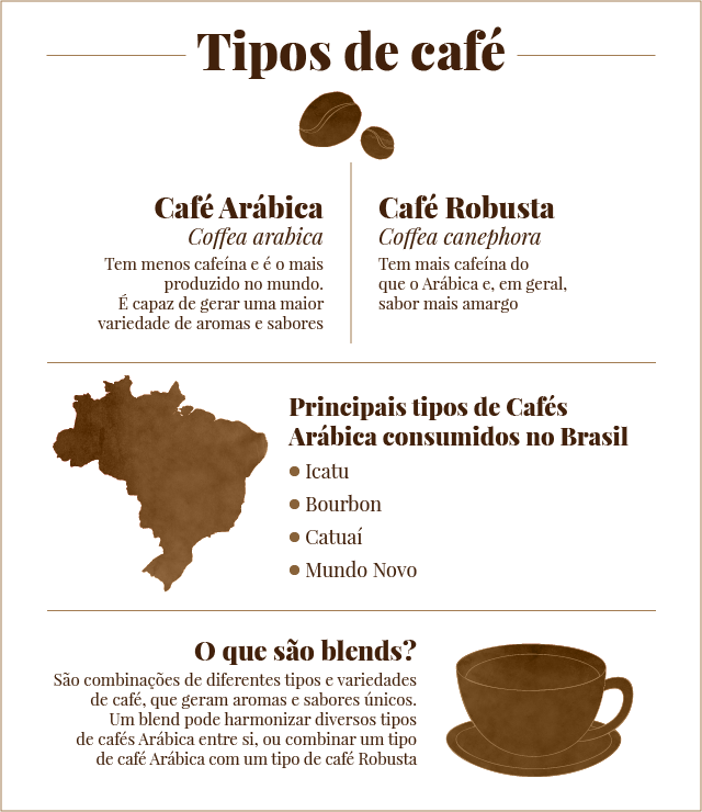 Tipos de café: conheça principais espécies e características da bebida queridinha dos brasileiros! (Foto: Infográfico Thalita Munekata)