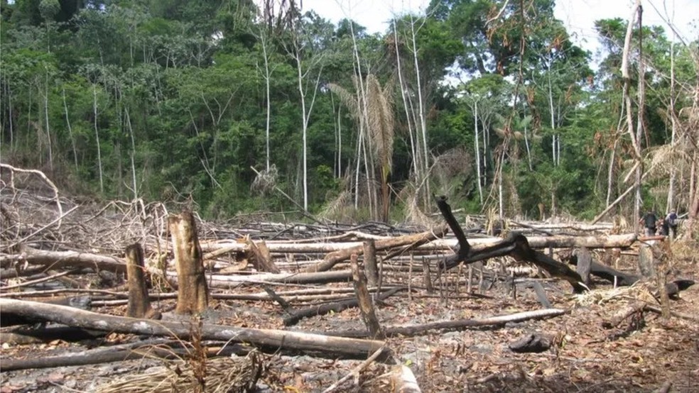 Área desmatada para abertura de garimpo — Foto: JAKELINE PEREIRA via BBC News