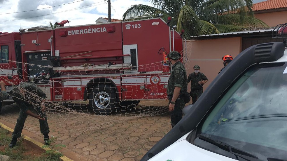 Bombeiros e policiais montaram um corredor de passagem por onde a onça-parda voltou à natureza — Foto: Carlos Volpi/TV Fronteira