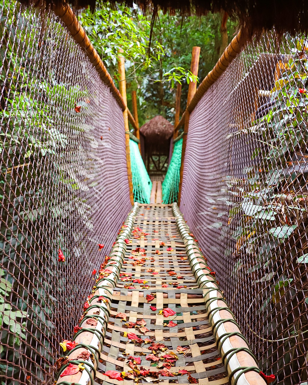 Parque dos dinossauros de Miguel Pereira abrirá as portas em outubro saiba mais detalhes da