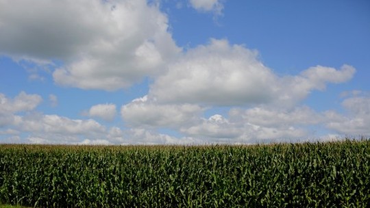 Tempo seco nos EUA dá impulso aos preços do milho e soja em Chicago
