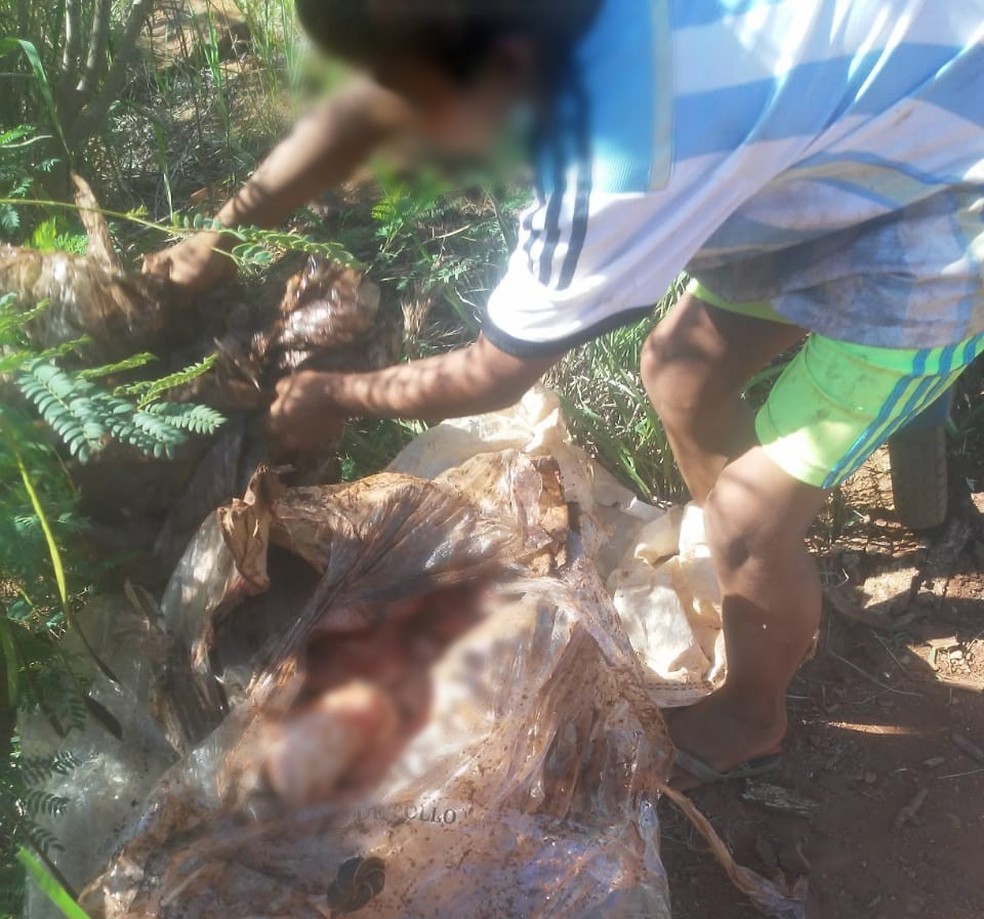 Crianças, idosos e adultos desenterraram frangos descartados para levar para casa, em Porto Iguaçu — Foto: Movimento Ativo Social e Político Iguaçu/Divulgação