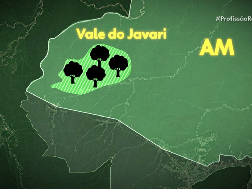 Vale do Javari, no oeste do estado do Amazonas. — Foto: Reprodução: TV Globo