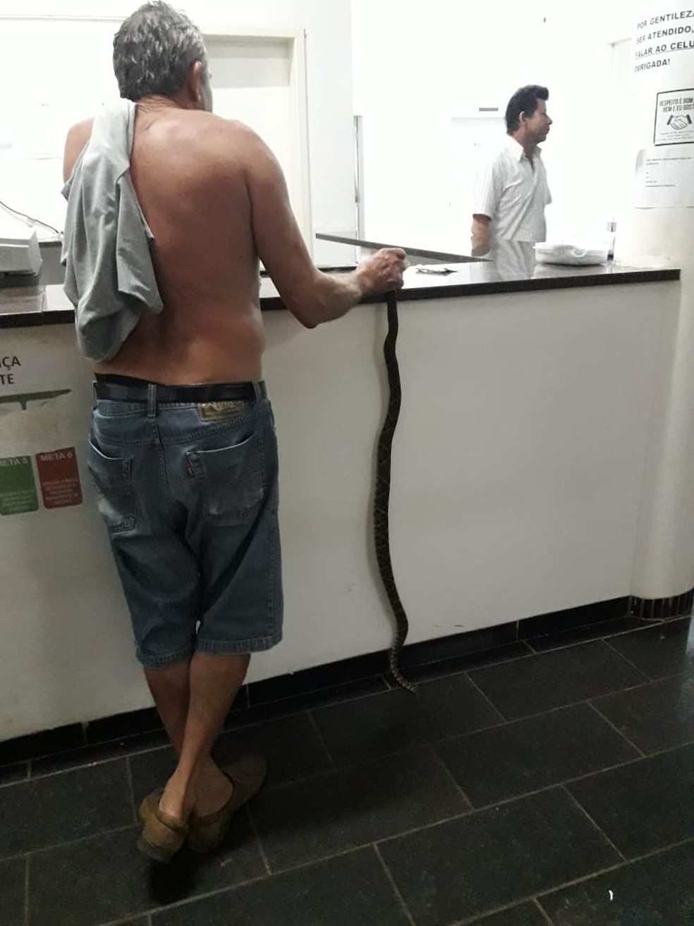 Idoso leva cobra viva até hospital de Cacoal para pedir atendimento médico — Foto: Facebook/Reprodução