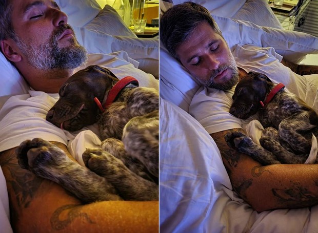 Bruno Gagliasso tira uma soneca com o cachorro Leão (Foto: Instagram/ @gioewbank/ Reprodução)