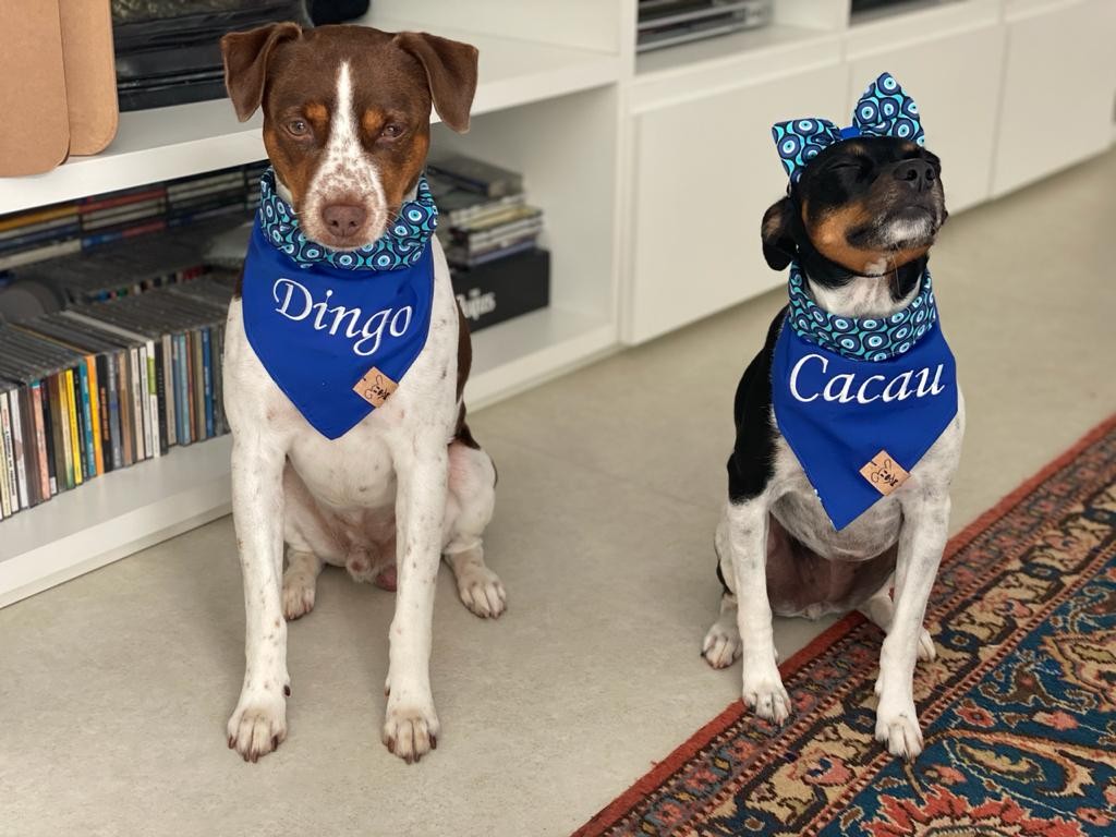 Cacau e Dingo tem 5 anos e tornaram-se influenciadores com mais de meio milhão de seguidores apenas no Instagram (Foto: Arquivo Pessoal/ Carolina Botelho)