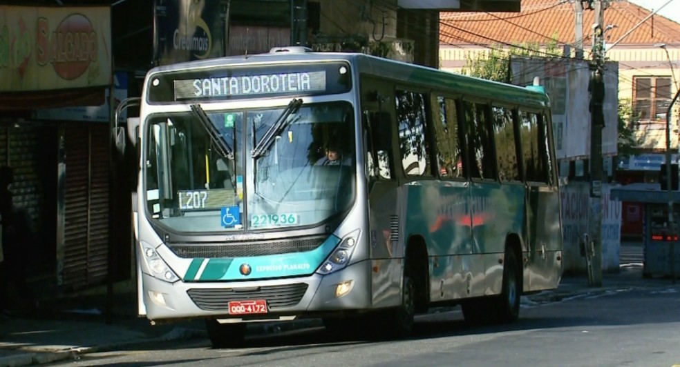 Novo aplicativo que mostra horários de linhas e trajetos de ônibus começa a funcionar em Pouso Alegre, MG — Foto: Reprodução/EPTV 