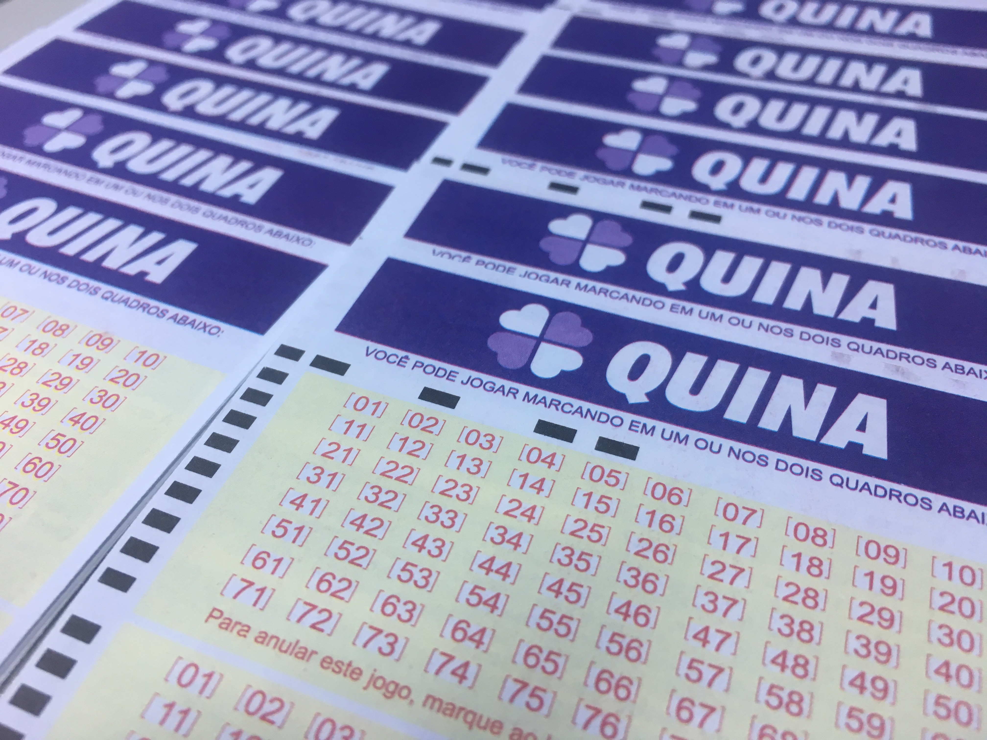 Apostas feitas em 5 cidades de SC ganham prêmios na quina; veja resultado