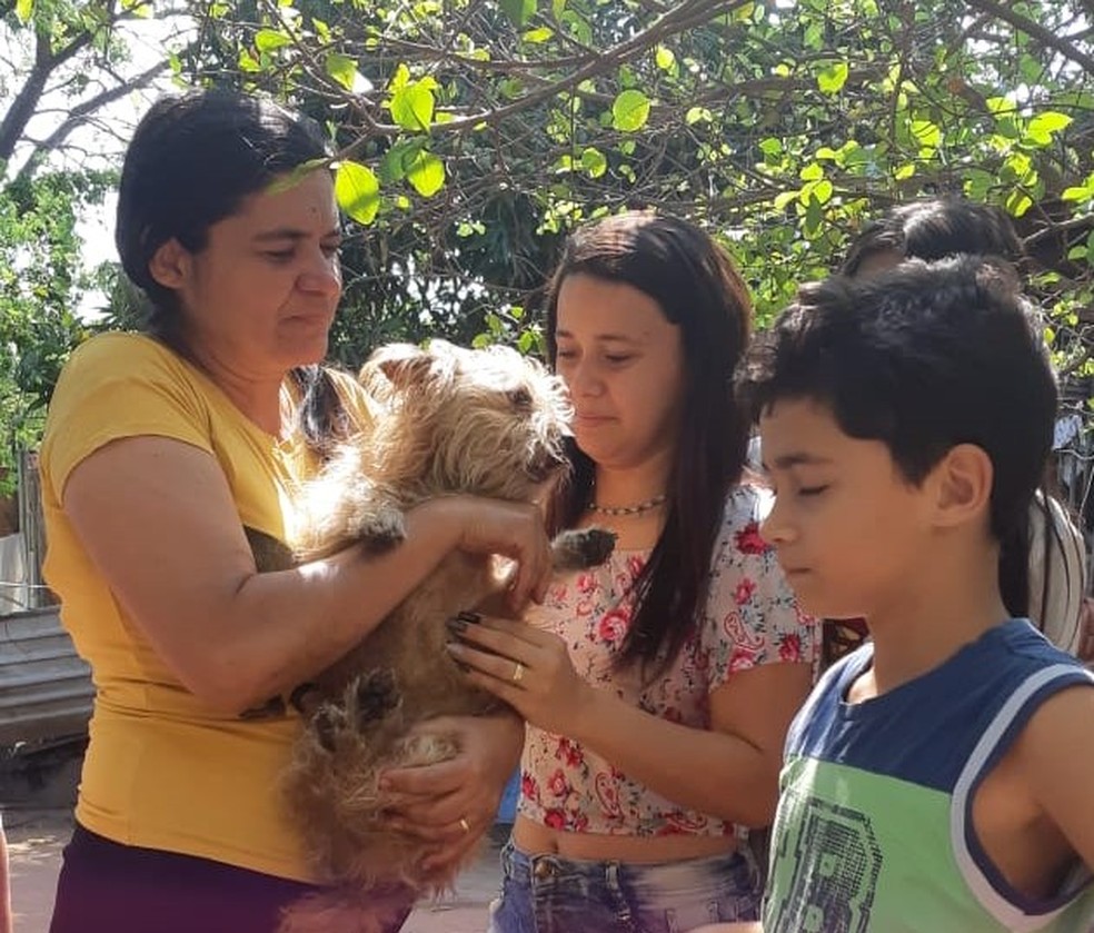 Cãozinho foi devolvido para seus donos, sem ferimentos — Foto: Corpo de Bombeiros/Divulgação