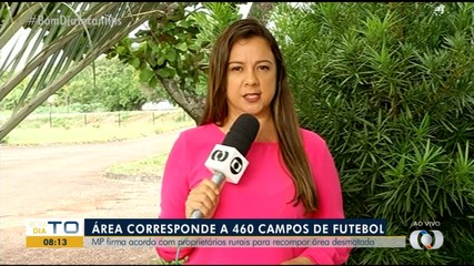 MP investiga desmatamento em área do tamanho de 460 campos de futebol