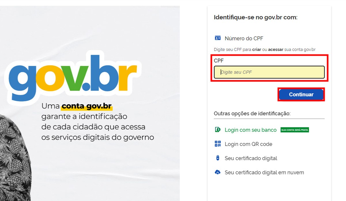 Erro 502 Bad Gateway afeta conta Gov.br nesta terça-feira; entenda