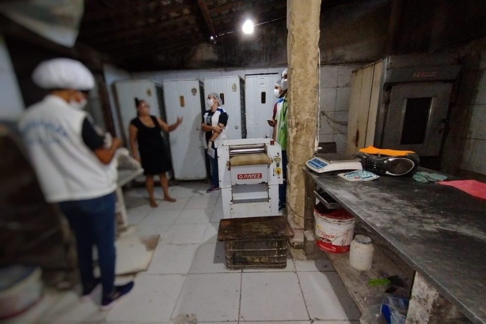 Fezes de rato são encontradas em pães durante fiscalização da Vigilância Sanitária — Foto:  Vigilância Sanitária