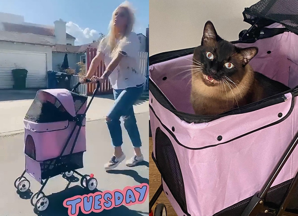 Kesha passeia com seu gato Mr. Peeps (Foto: Reprodução/Instagram)