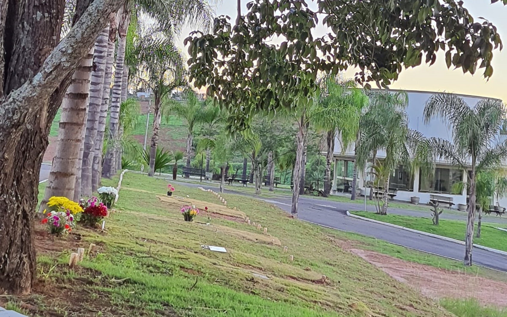 Prefeitura vai exumar 1 mil sepulturas de cemitério campal de Varginha, MG