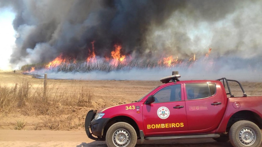 Por terra, os bombeiros contaram com a ajuda de funcionários da fazenda em Sorriso — Foto: Corpo de Bombeiros de Sorriso/Ten Cel BM Jean