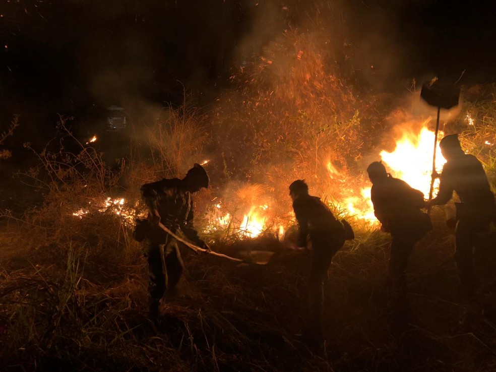Homens do ExÃ©rcito trabalham no combate ao fogo no ParÃ¡ â€” Foto: DivulgaÃ§Ã£o/ Comando Militar do Norte