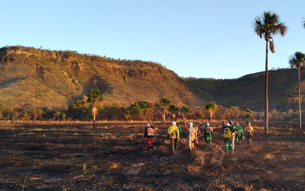 Incêndio queima área equivalente a 154 campos de futebol no Parque da Terra Ronca, famoso por estalactites— Foto: Divulgação/Brigada Aliança