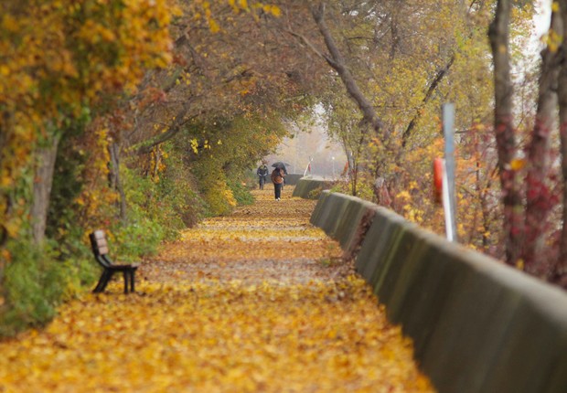 Toronto no outono: trilhas e caminhos para se conhecer a cidade a pé (Foto: Divulgação)