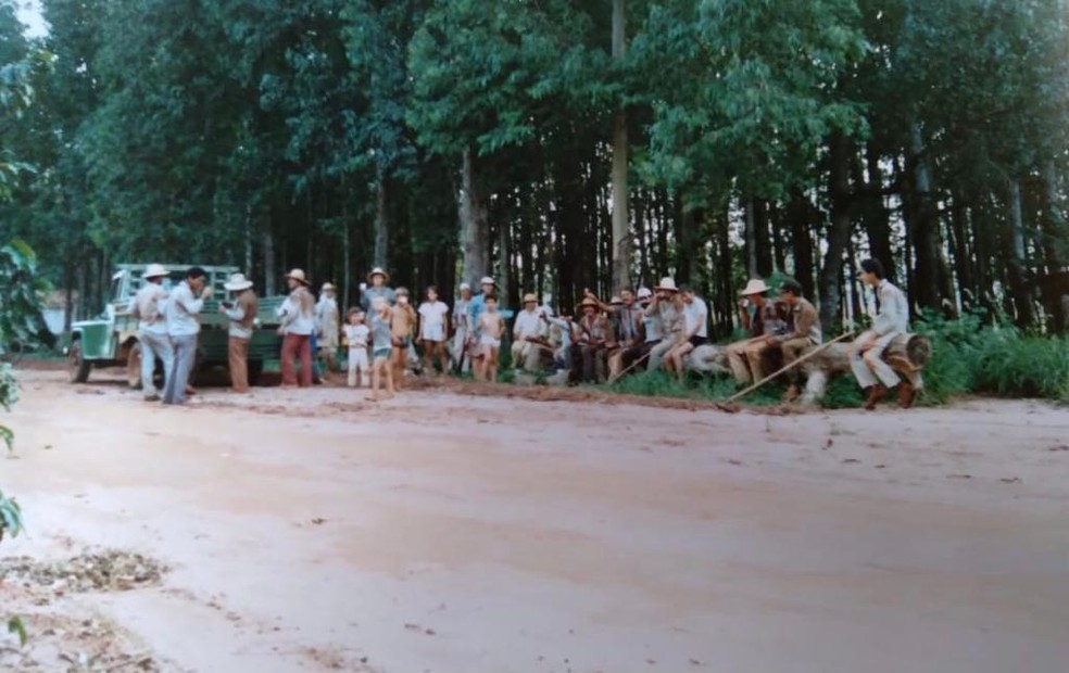 Fotografia que a família Olívio guarda e que mostra os primórdios da produção de café em Ivinhema (MS) — Foto: Carlos Olívio/Arquivo pessoal