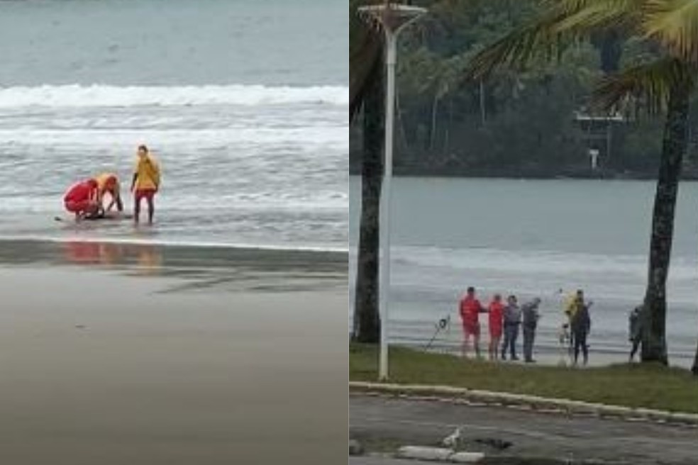 Corpo foi encontrado na praia da Enseada, em Guarujá, na manhã desta quinta-feira (2) — Foto: Reprodução/Plantão Guarujá