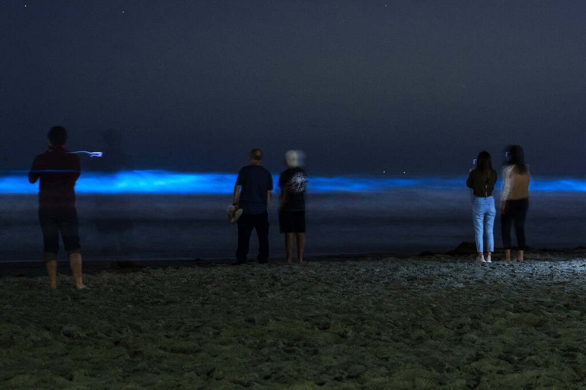 Get Wallpaper Ondas Azul Metalicas E Brilhantes Iluminam Praias Do Sul Da For Free