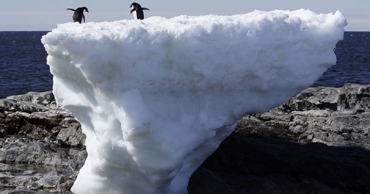 Unfreeze Penguins, Esses pinguins simpáticos precisam ser liberados dos  blocos de gelo  By Jogos123