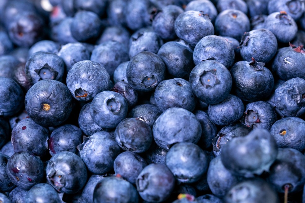 Alimentos azuis e roxos, incluindo blueberries (mirtilos), possuem um alto teor do pigmento vegetal antocianina, que tem sido associado à redução do risco de doenças cardíacas e diabete tipo dois. — Foto: Pexels