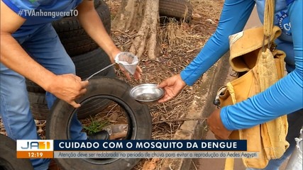 Especialistas orientam como evitar a reprodução do Aedes Aegypti durante o período chuvoso
