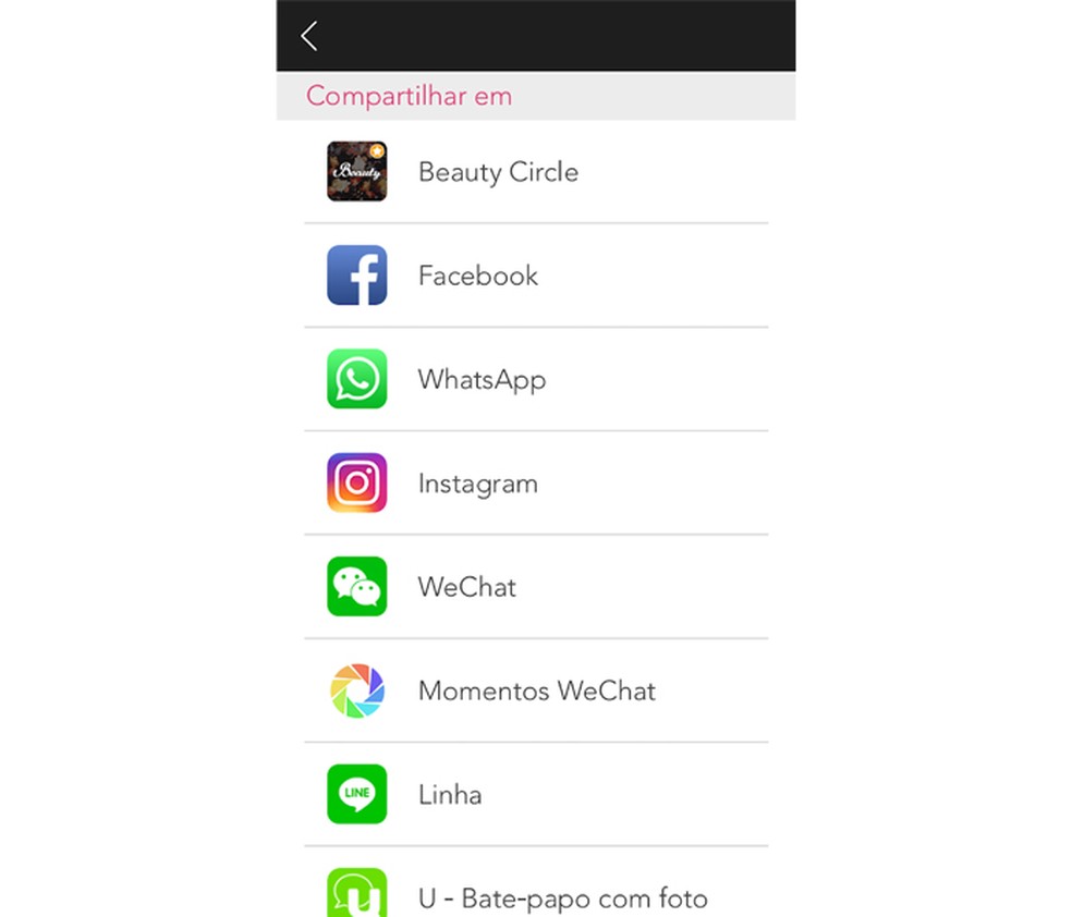Opções para compartilhamento de uma foto editada no YouCam Perfect (Foto: Marvin Costa/TechTudo)