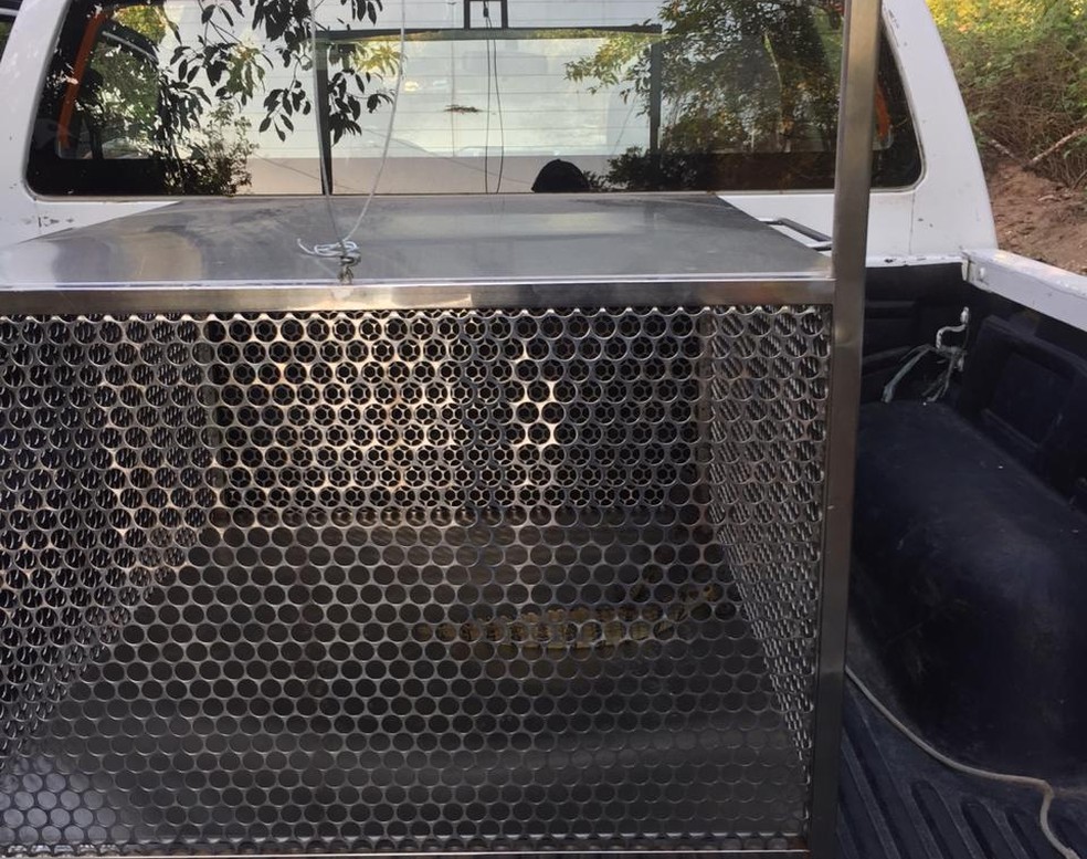 Jacar&eacute;-do-papo-amarelo &eacute; resgatado em hotel e solto em rio em Porto Seguro &mdash; Foto: Divulga&ccedil;&atilde;o / Secretaria Municipal de Meio Ambiente