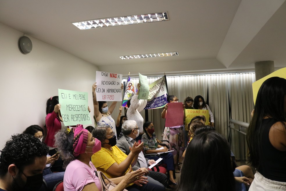 Gestantes e profissionais da saúde protestam na Alepi e pedem que 'lei do parto humanizado' não seja revogada no Piauí — Foto: Ilanna Serena/g1