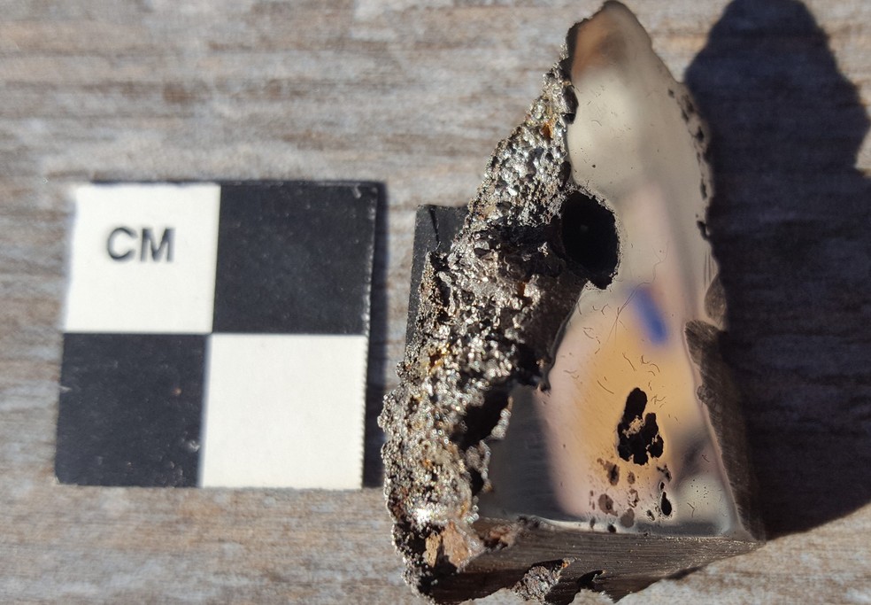 Amostra do meteorito El Ali contém dois minerais nunca antes vistos na Terra — Foto: Nick Gessler/Duke University