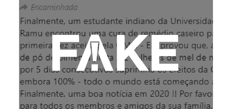 É #FAKE que mistura de pimenta com mel e gengibre cure a Covid-19 — Foto: Reprodução