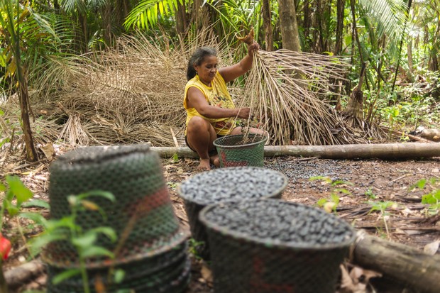 7 organizações que ajudam a proteger a Amazônia (Foto: Getty Images)