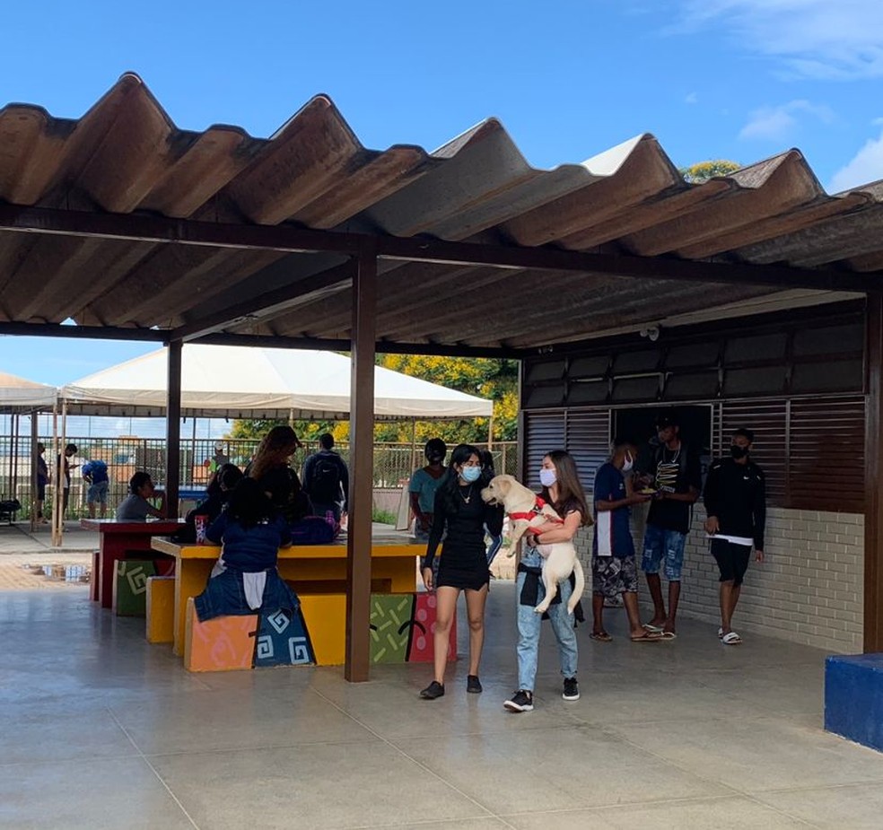 Estudantes brincam com cadela Nina durante intervalo no CEd 8 do Gama, no DF — Foto: g1 DF