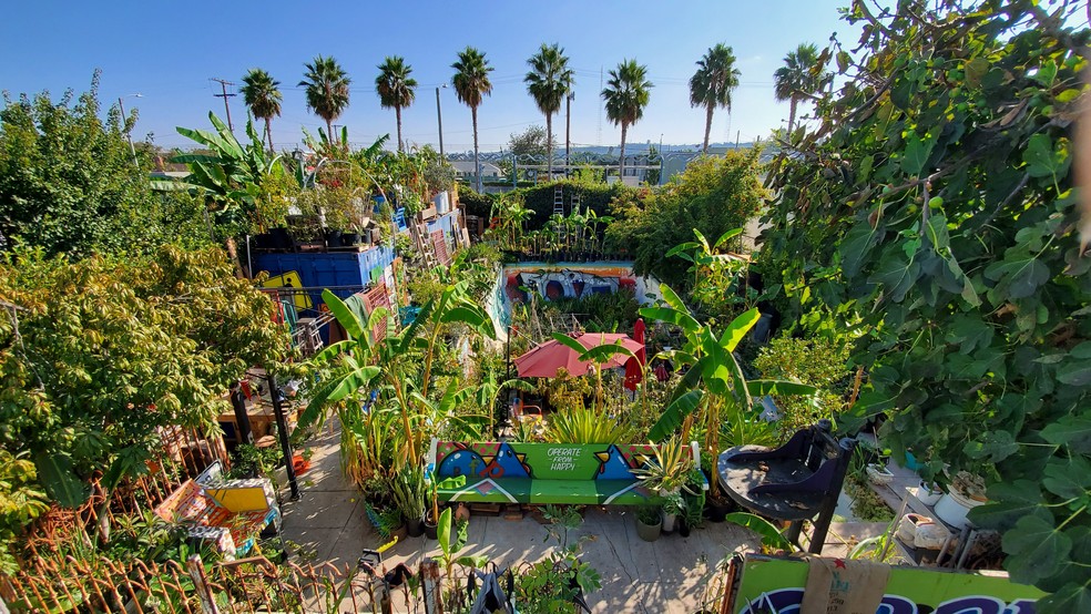 Praça renovada:  movimento criado por Finley ajudou a criar dezenas de hortas comunitárias em espaços vazios. — Foto: Courtesy of The Ron Finley Project