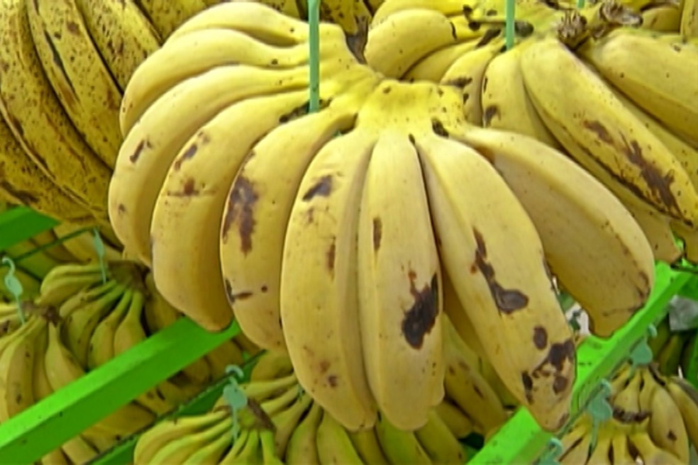 Preço da banana está mais em conta na Ceasa. Produto custa R$ 1,80. (Foto: Reprodução/ TV Diário)