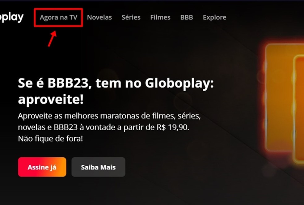 Onde assistir ao desfile das escolas de samba de São Paulo? Apresentações podem ser assistidas ao vivo na seção “Agora na TV” do Globoplay — Foto: Reprodução/Gabriela Andrade