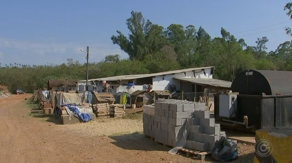 Moradores se incomodam com situação do canil municipal de Guareí (SP) — Foto: Reprodução/TV TEM