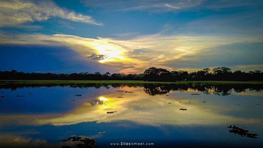 Pantanal, por Silas Ismael (não usar em outras matérias)