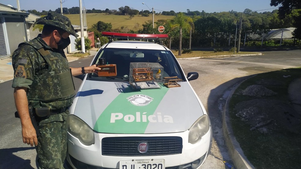 Morador do Bairro Maracá II foi multado em R$ 15 mil por manter aves em gaiolas sem autorização — Foto: Polícia Ambiental/Divulgação
