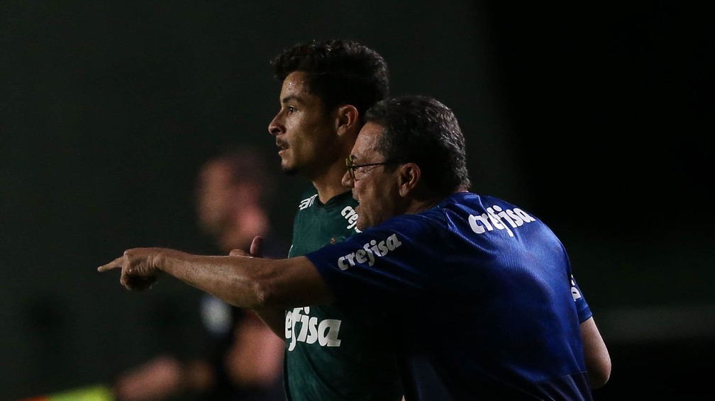 Vanderlei Luxemburgo, técnico do Palmeiras, conversa com Diogo Barbosa — Foto: Cesar Greco/Ag. Palmeiras