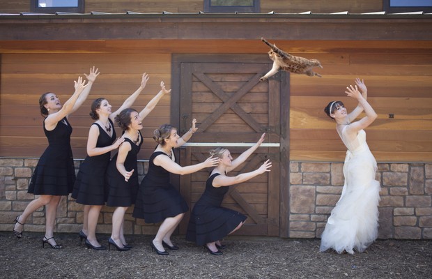 Tumblr mostra noivas arremessando gatos em vez de buquês (Foto: Reprodução / Tumblr BridesThrowingCats)