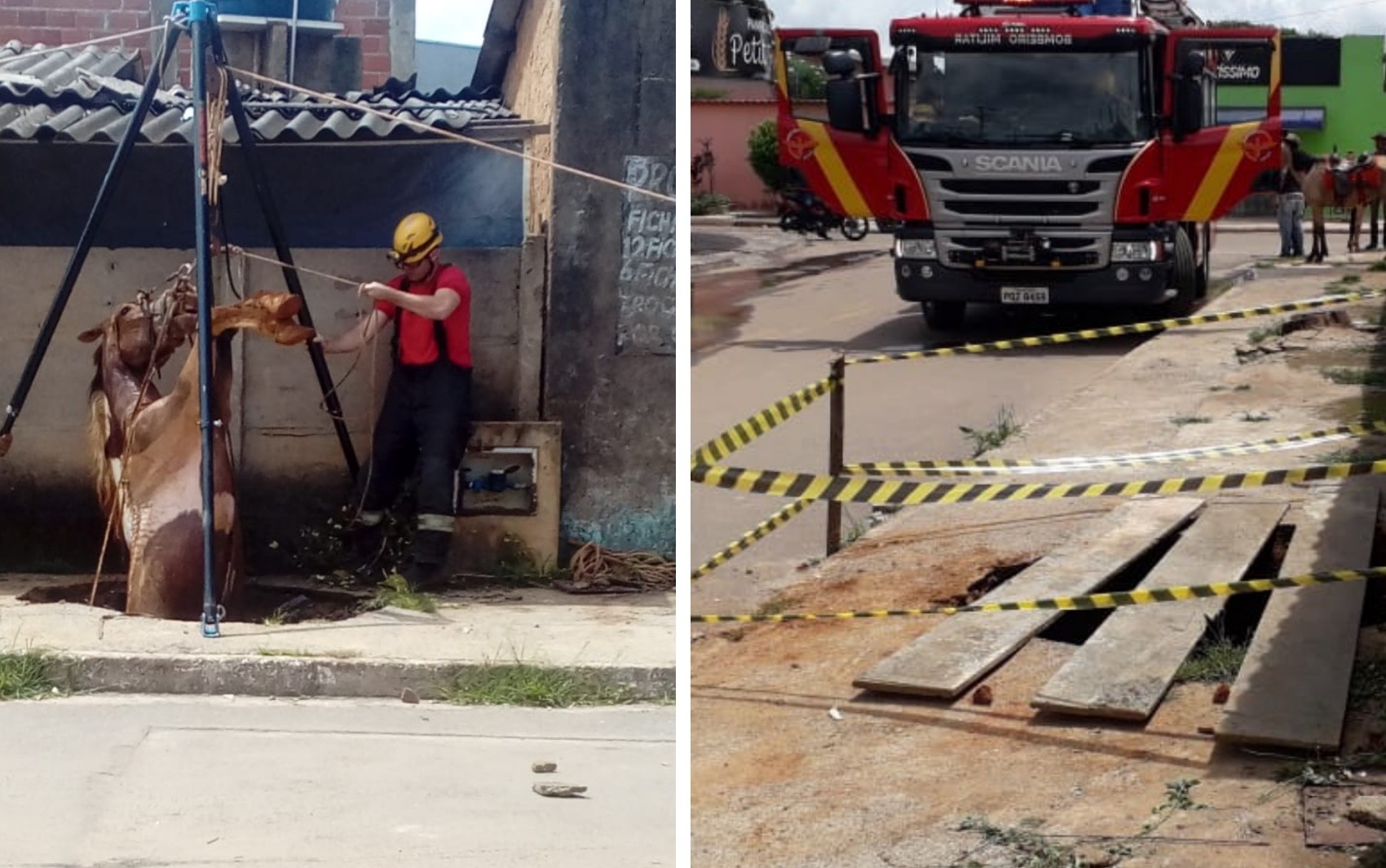 Cavalo é resgatado após cair em fossa de 5 metros de profundidade, em Anápolis 