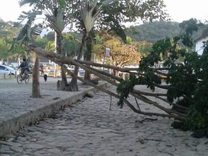 Àrvore caída no Centro de paraty por causa de ventania (Foto: Dalcimar de Castro/Arquivo Pessoal)