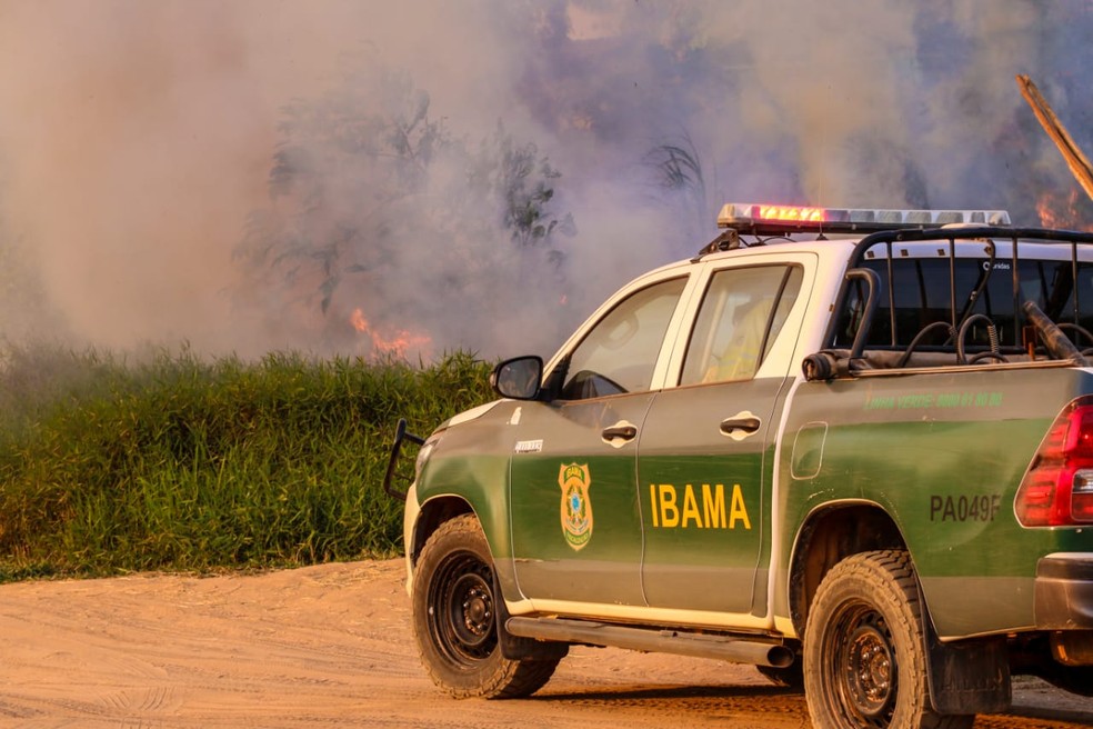 Especialista diz que recursos não são usados de forma correta quando se trata de combate ao fogo  — Foto: Juan Diaz/Arquivo pessoal 
