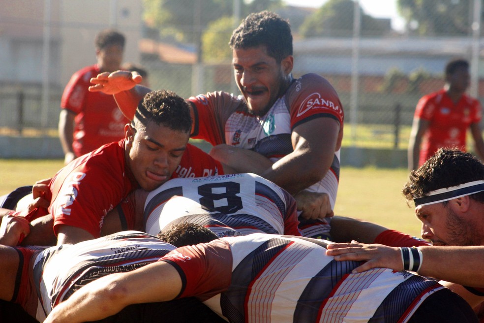 Já está definida a final do Campeonato do Mundo de Rugby