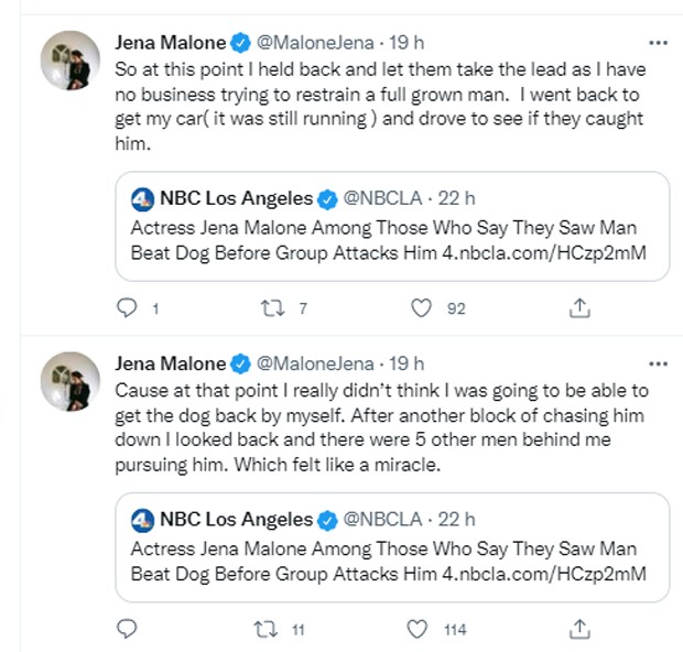 Jena Malone relata resgate de cachorro que era agredido  (Foto: Reprodução/Twitter)
