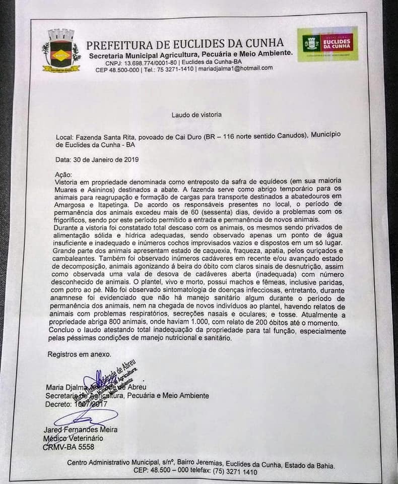 Laudo de vistoria da prefeitura de Euclides da Cunha sobre a morte dos jumentos (Foto: Luciano Pinheiro/Reprodução)